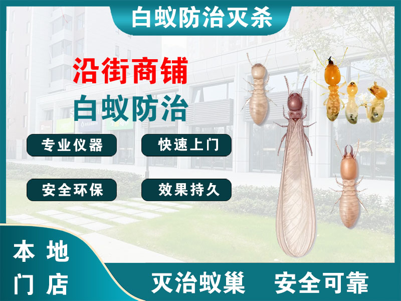 京口区沿街商铺白蚁防治