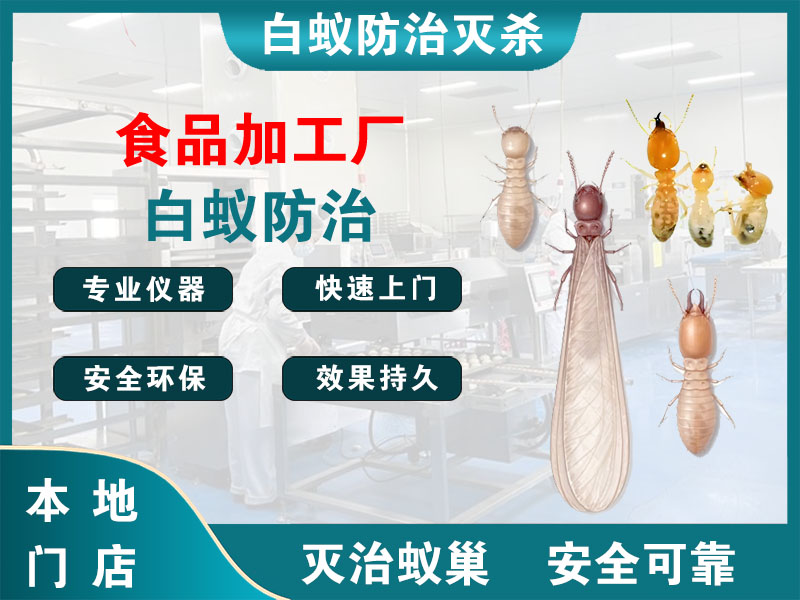 京口区食品加工厂白蚁防治