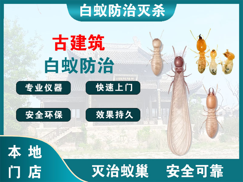 京口区古建筑白蚁防治