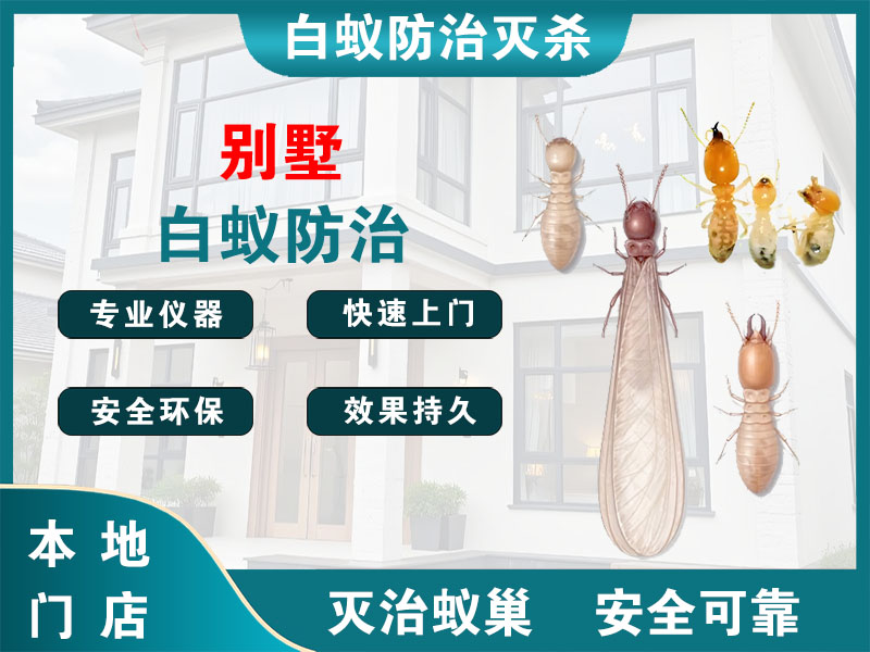 京口区别墅白蚁防治